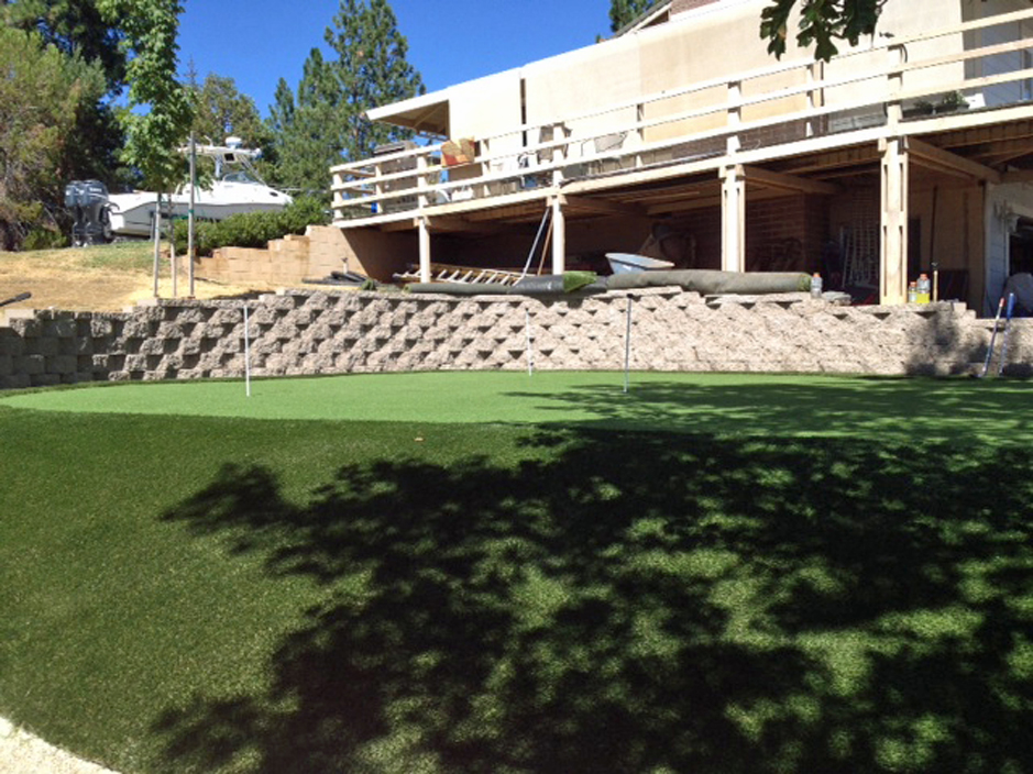 Artificial Grass Carpet Tacna Arizona Best Indoor Putting Green