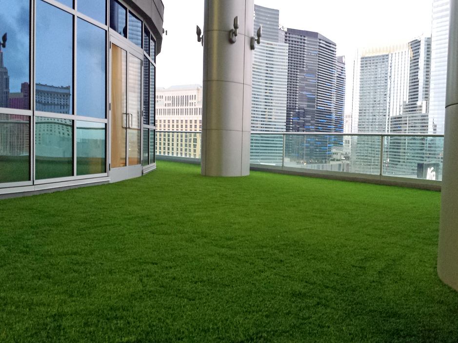 Artificial Grass Elgin, Arizona Landscape Ideas, Commercial Landscape