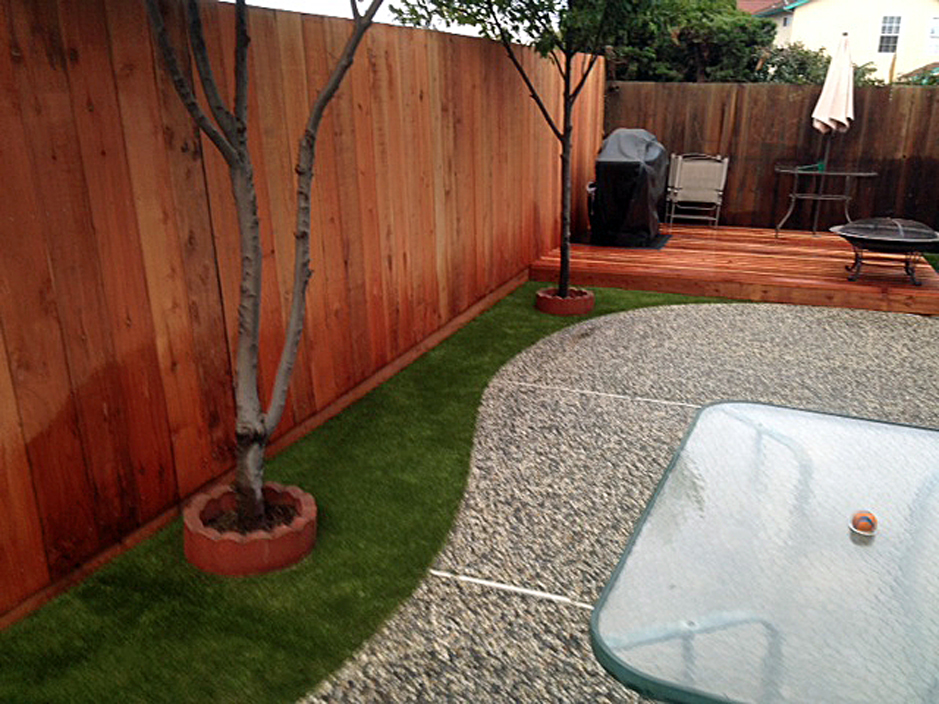 Artificial Grass Hayden, Arizona Grass For Dogs, Backyard Ideas