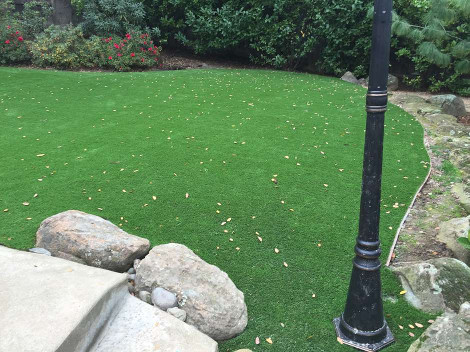 Artificial Turf Casas Adobes, Arizona Landscape Photos, Backyard Design