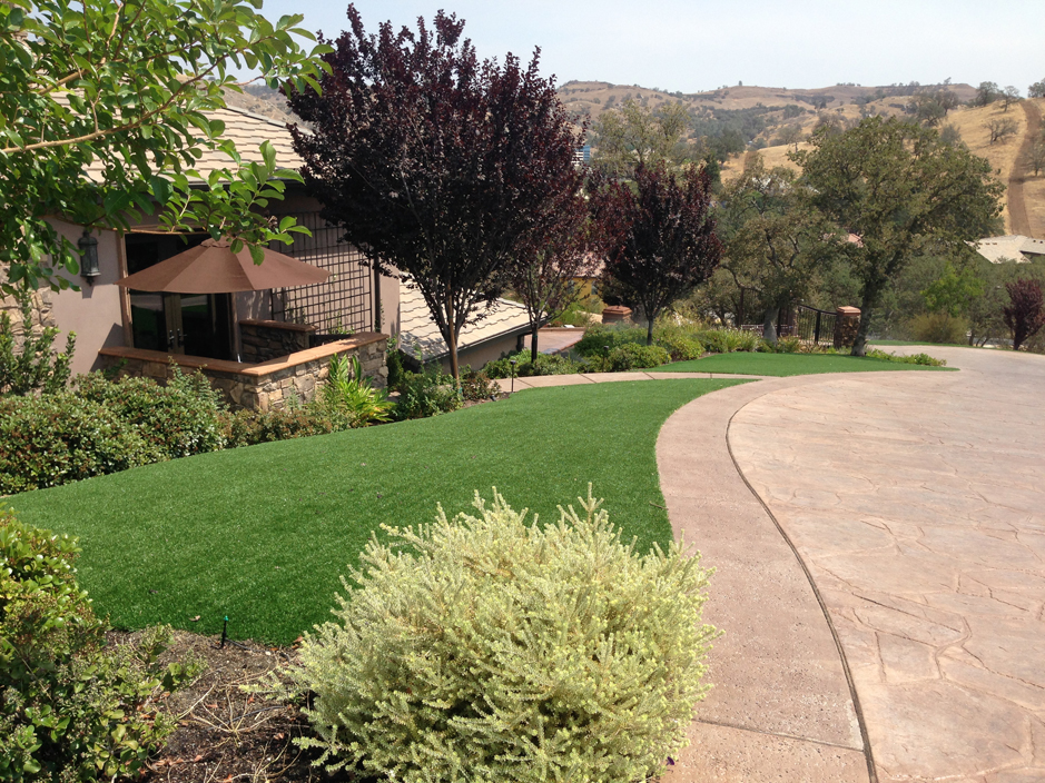 Artificial Turf Cost Corona de Tucson, Arizona Lawn And Garden, Front Yard Landscaping