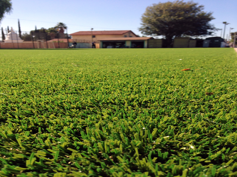 Artificial Turf Cost Lake Havasu City, Arizona Landscape Photos