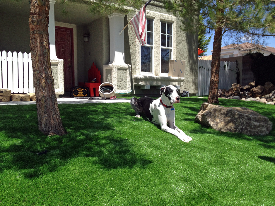 Artificial Turf Cost Seligman, Arizona Dog Run, Front Yard Ideas