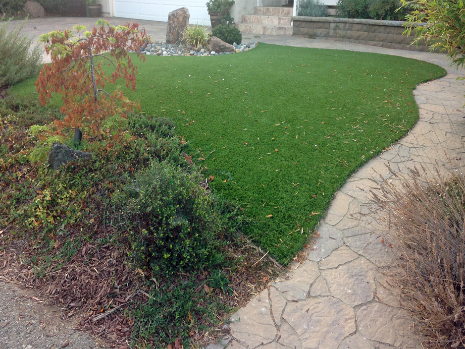 Fake Turf Oatman Arizona Dog Hospital Backyard Ideas