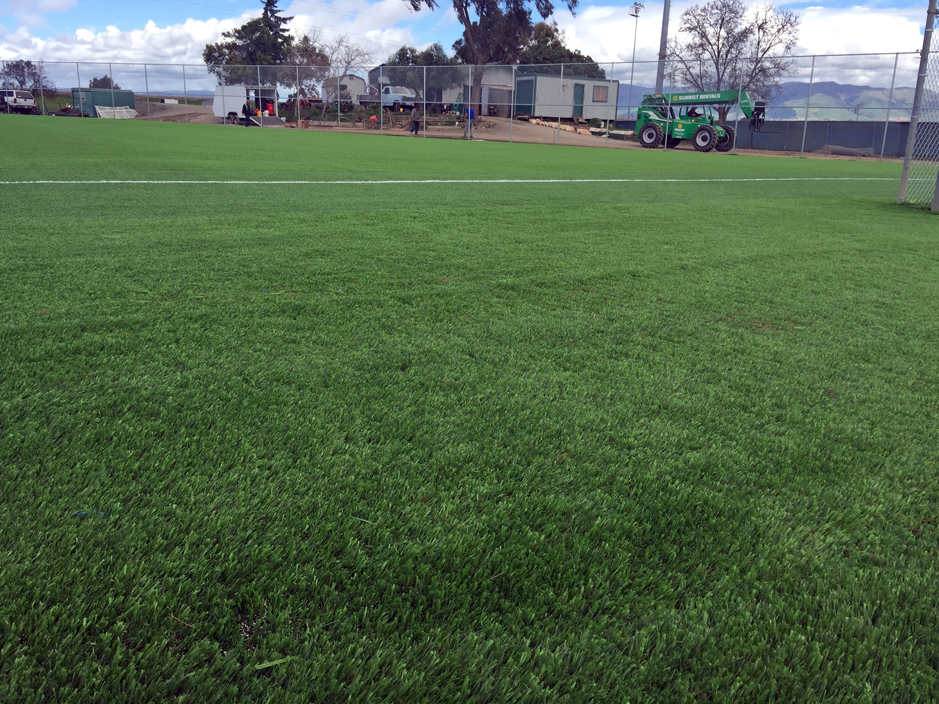 Faux Grass Cutter, Arizona Sports Turf