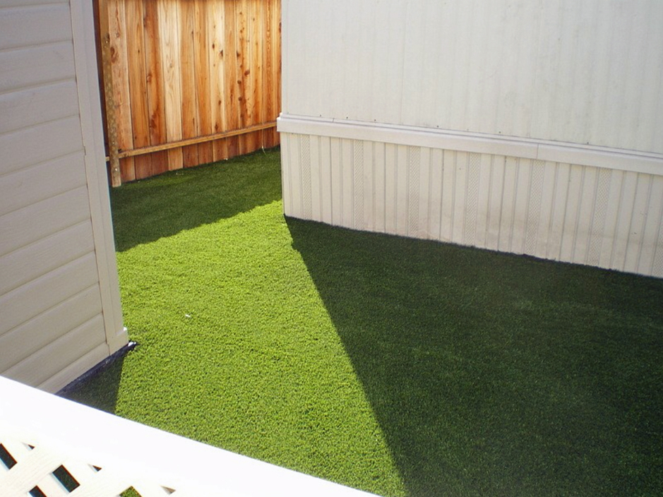 Green Lawn Sanders, Arizona Dog Park, Backyard