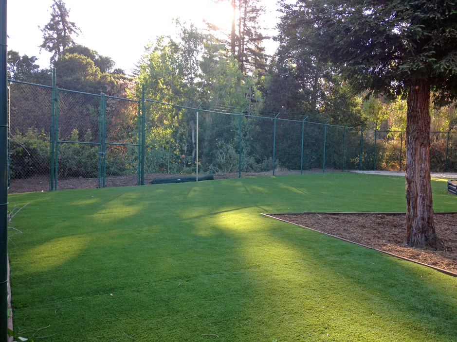 How To Install Artificial Grass Nutrioso, Arizona Indoor Playground, Recreational Areas