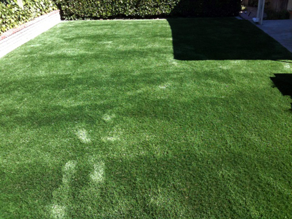 Installing Artificial Grass Canyon Day, Arizona Dog Hospital, Backyard Design
