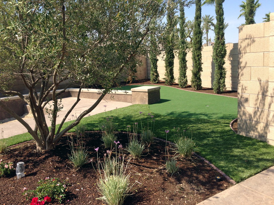 artificial grass carpet wilhoit, arizona garden ideas, backyard